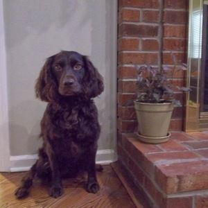 Meet your Posher, Madeleine